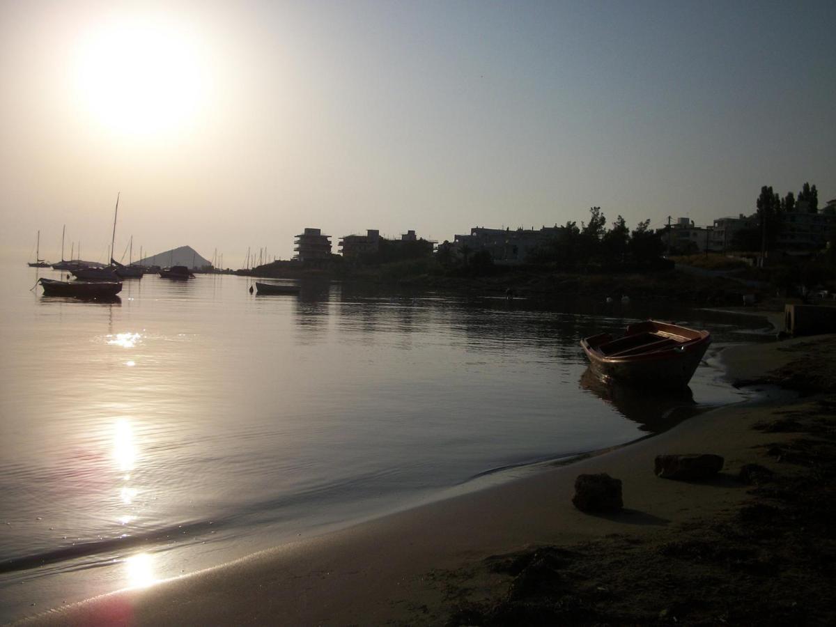 Villa Liana : Luxury Villa With Fantastic Sea View, Near Airport Porto Rafti Exterior photo