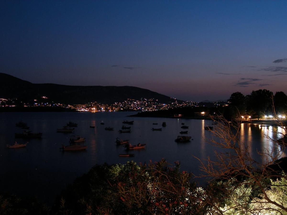 Villa Liana : Luxury Villa With Fantastic Sea View, Near Airport Porto Rafti Exterior photo